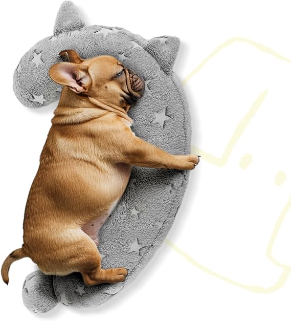 Glow in The Dark Pet Pillow, Large Gray