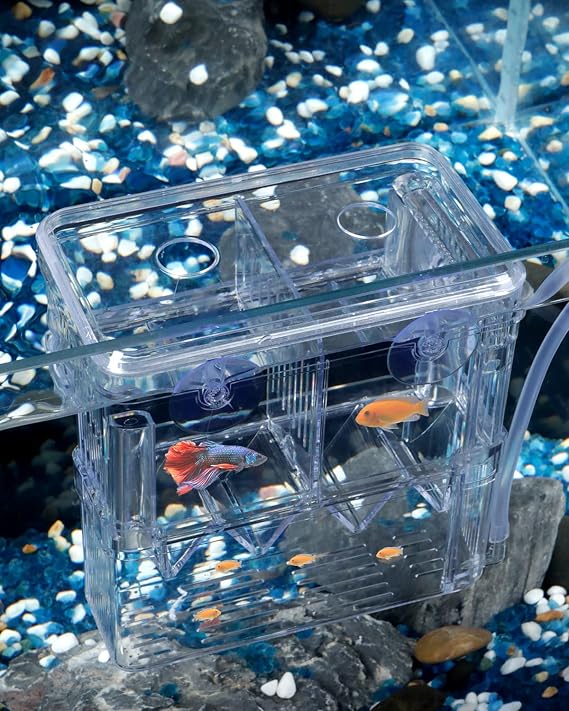 Pawfly Aquarium Fish Breeding Box Transparent Plastic Breeder Box for Fish Tank Fry Hatchery Incubator Hatching for Shrimp Betta Medium Isolation for Aggressive Fish Guppy