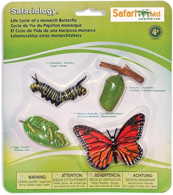 Safari Ltd Life Cycle of a Monarch Butterfly