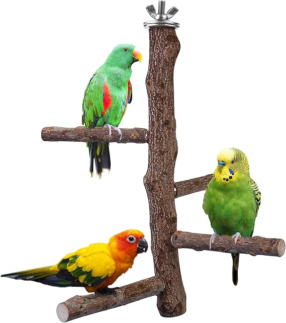 Bird Perch Stand Toy, Natural Wood Parrot Perch Bird Cage Branch Perch Accessories for Parakeets Cockatiels Conures Macaws Finches Love Birds (M: 10" Length) | Natural Wood Perch Stand w/ 4 Branches Bird Cage Inside Accessories Bird Toy for Parakeet Cockatiel Conure Finches Love Birds