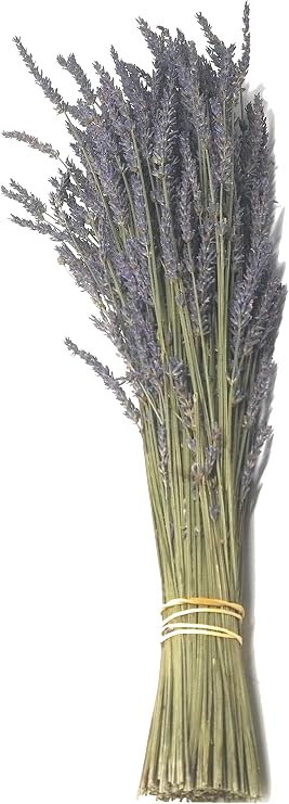 L+ Lavender Dried Bundles, 18 to 22" L, 200 to 220 Stems, (Pack of 50)