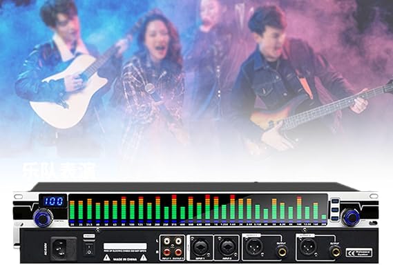 31 Bands Digital Equalizer, Noise Reduction w/Spectrum Display Graphic Equalizer Audio Digital Equalizador Professional Sound system Professional Equalizers for KTV Recording Studio