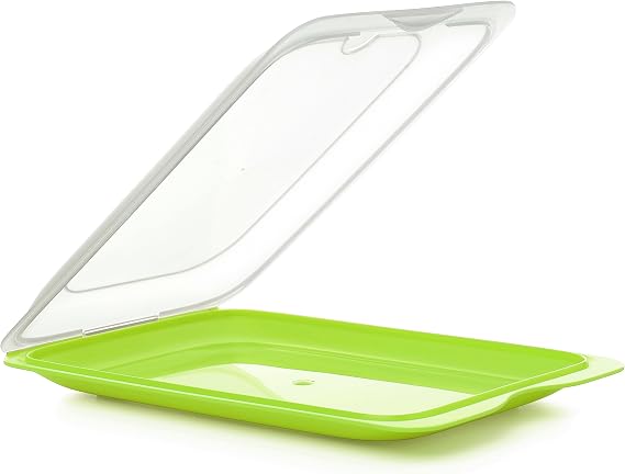 TATAY Food Storage Container Standard Food Boxes for Fridge