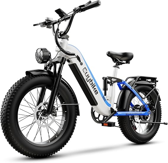 1500W Electric Bike for Adults,48V 20/25/60Ah Removable Battery Max Range 80Miles Electric Bicycle,20''4" Fat Tire Ebike,Adult Electric Bicycles for Commute Beach Snow,E-Bike UL Certified