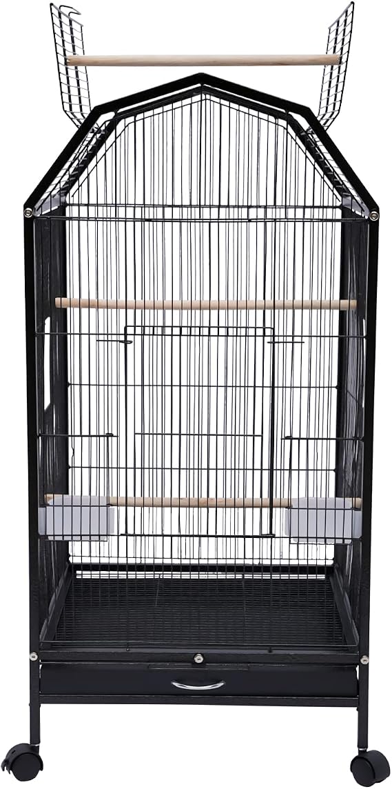 Bird Cage, Open Top Medium Small Bird Cage with 360 Full Hollow Design & Interactive Skylight Rolling Birds Cages for Cockatiel Sun Conure Green Cheek Senegal Meyer's Red-Bellied 18.11*18.11*39.9 In