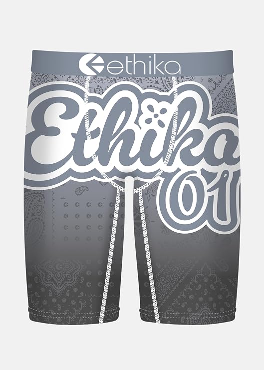 Ethika Men's Staple Boxer Brief, Ice Banda