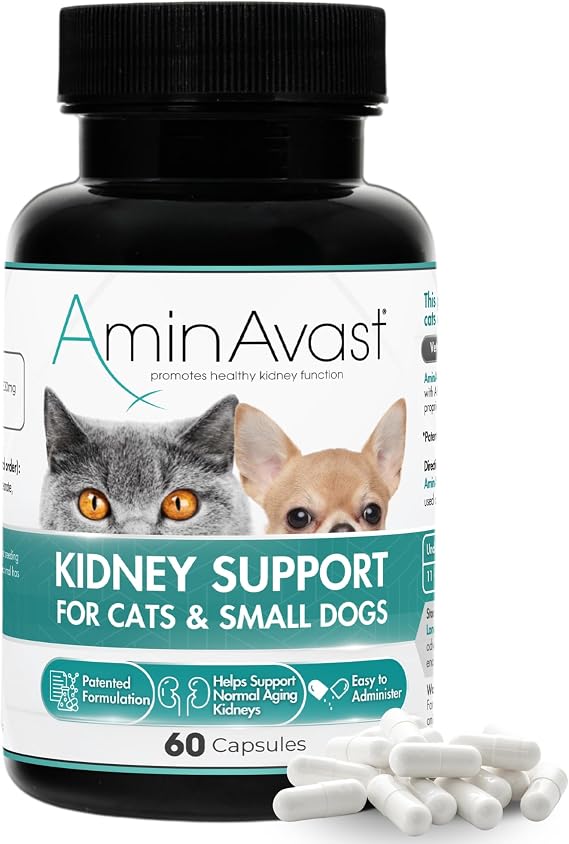 AminAvast 300mg Kidney Support for Cats & Small Dogs, 60 Sprinkle Capsules | Feed Directly or Open Capsules & Mix With Food, Amino Acid and Peptide Blend for Cats and Small Dogs Up to 20lb