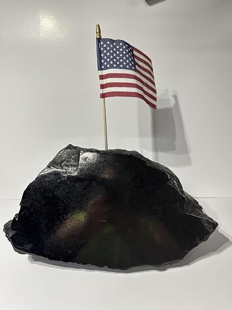 Beautiful Clean Coal: Polished Anthracite Coal:$125.00