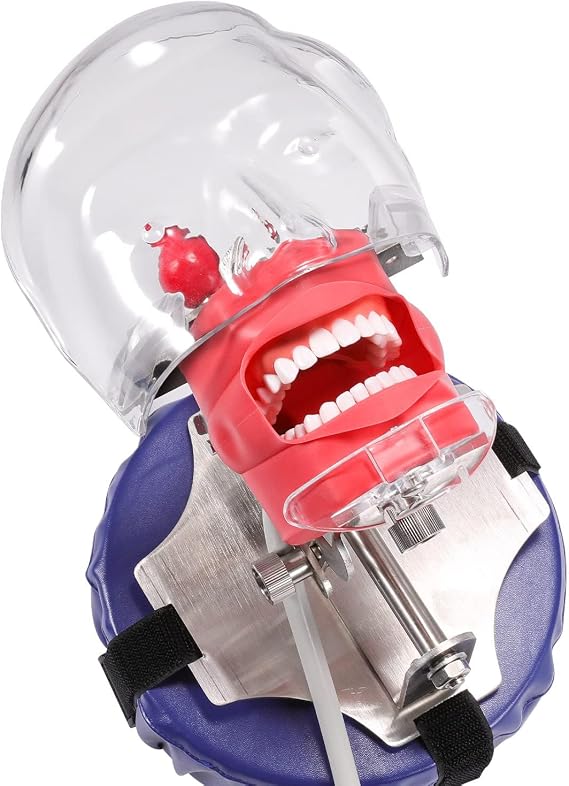 Dental Manikin Head Training Model Simulator Phantom Head With Typodont Teeth Model Fixed On Chair 1:1 High Emulation 360-Degree Adjustable For Dental Schools Lab Training