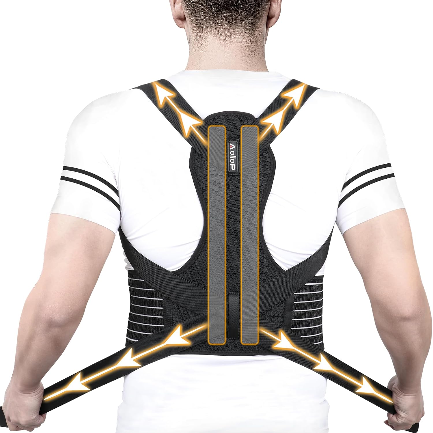 Posture Corrector Men and Women - Back Brace Back Support Belt with Breathable Adjustable Elastic Bands Back Straightener Improve Lumbar Support Belt Lower Back Pain Relief L, Waist 48'-52'