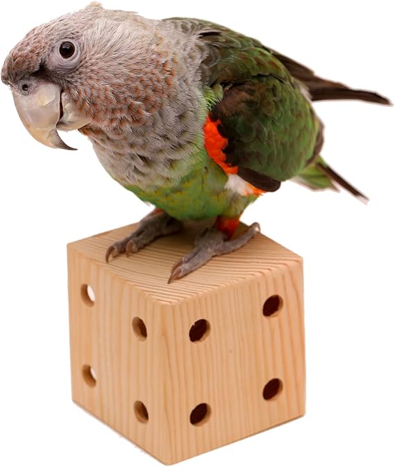 Natural Foraging Box Toy for Parrots