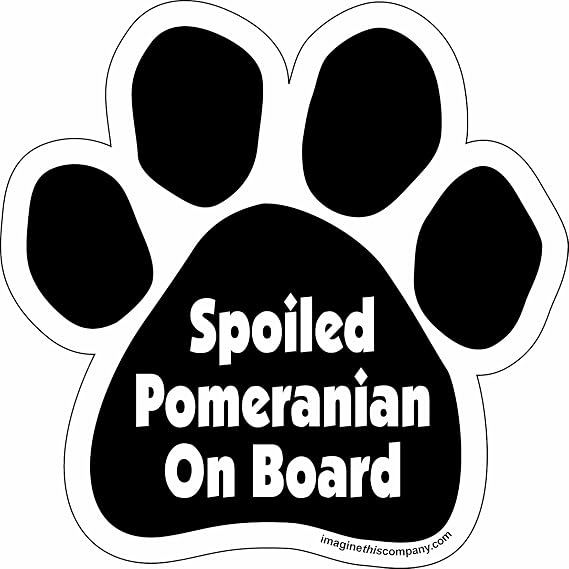 Imagine This Paw Car Magnet, Spoiled Pomeranian on Board, 5-1/2-Inch by 5-1/2-Inch