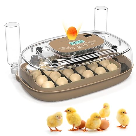 Incubators for Hatching Eggs, 24 Egg Incubator with Automatic Turning and Humidity Control, 360 View Incubadora De Huevos De Gallina, Egg Candler, Incubator for Chicken Eggs, Ducks, Goose, Quail