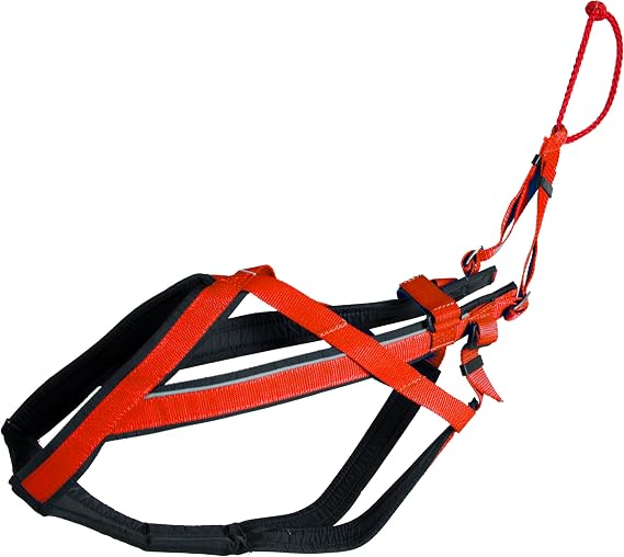 Neewa Adjustable Racing Harness (Small, Red) - Ideal for Dog Pull with Bike, Skateboard, Rollerblade, Cart, Canicross