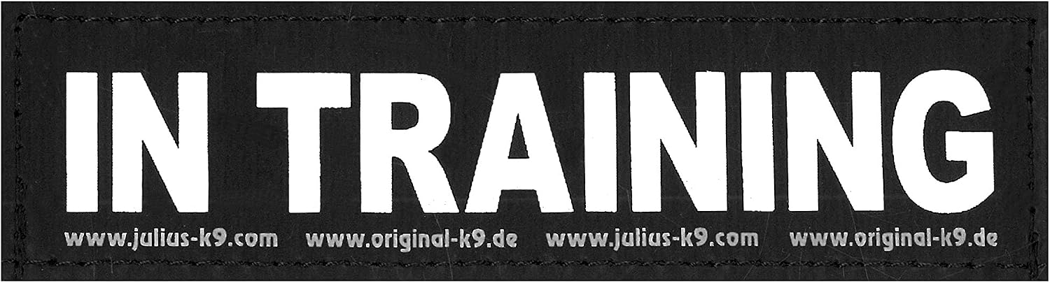 Julius-K9 Patch with Hook and Loop Fastener, Large, in Training
