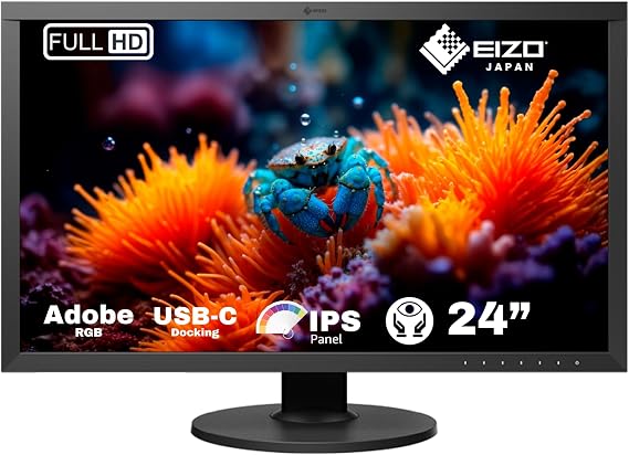 EIZO CG2420 24-Inch LCD/LED Monitor - Black