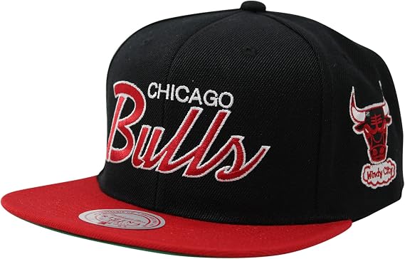 Mitchell & Ness Men's Team Script 2.0 Snapback Cap