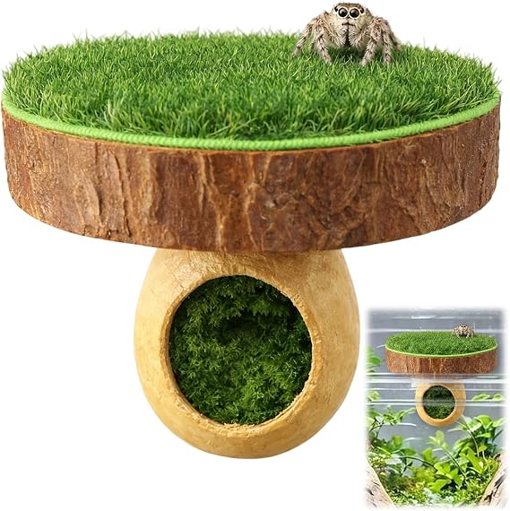 Jumping Spider Accessories, Jumping Spider Enclosure, Suitable for Enriching Fences, Creating Habitats and Jumping In Reptile Habitats