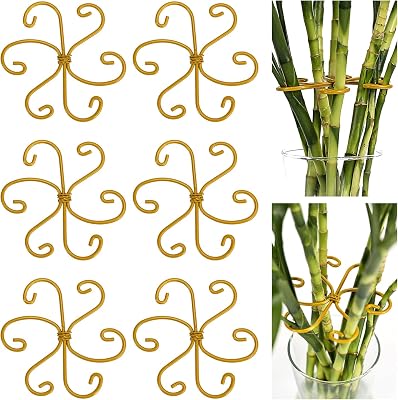 Monstera Plant Support, Set of 6 Iron Plant Stem Supports Holder Stabilizer for Indoor & Outdoor Growing Climbing Plant Care Spiral-Shaped