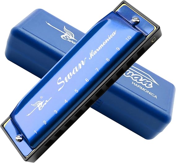 Harmonica Armonica Mouth Organ Blues Harmonica Key of C 10 Hole 20 Tone Polyphony Diatonic Harp with Case for Blues Folk Jazz Pop for Music Student Teacher Teaching Beginner Gift