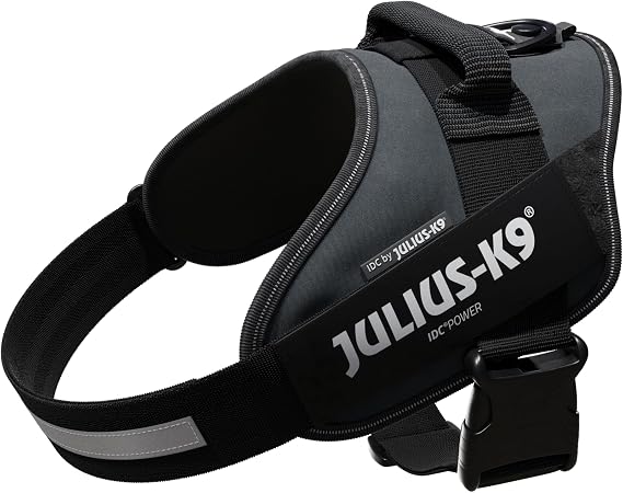 IDC Power Harness, Size: L/1, Gray