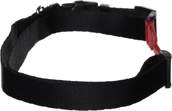 Jogging Belt, 38 to 44-Inch, X-Large