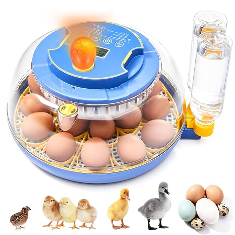 Incubators for Hatching Eggs - 18 Egg Capacity, Egg Incubator with Automatic Egg Turning and Temperature Control, Incubator for Chicken, Duck, Goose, Quail, 360 Full View, Home Farm Classroom Use