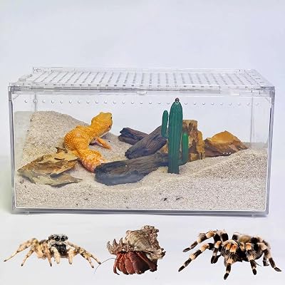 Mini Reptile Terrarium, 12 x 8x 6 Reptile Tank with Full View Visually Appealing, for Hermit Crab, Tarantula, Jumping Spider,Frog, Bearded Dragon, Iguana, Tortoise, Leopard Gecko, Insect, Fish