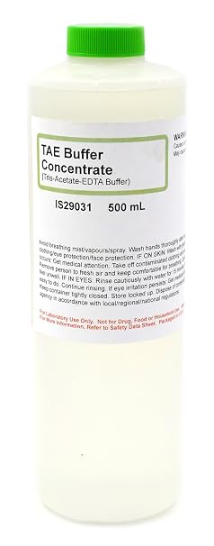 ALDON Innovating Science Tris-Acetate-EDTA Buffer Concentrate, 500mL - The Curated Chemical Collection