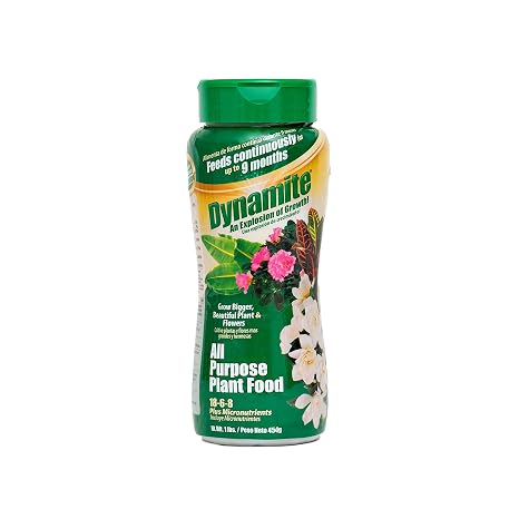 Dynamite All Purpose Indoor & Outdoor Plant Food - 1 lb