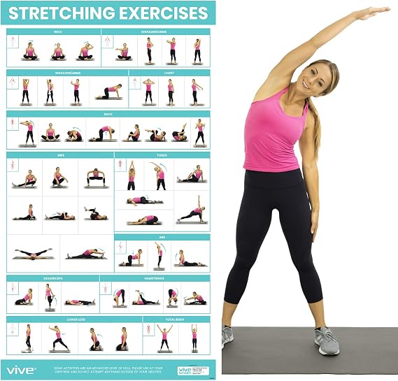 Vive Workout Posters for Home Gym - 52 Streching Exercises Full Body