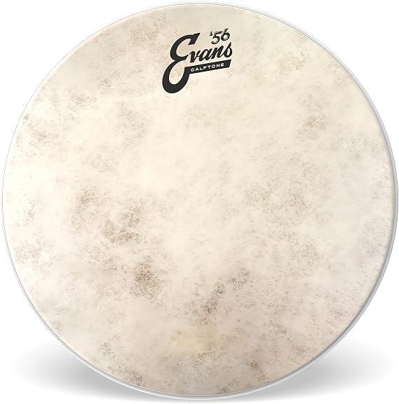 EVANS エヴァンス ドラムヘッド `56 Calftone Tom TT10C7 10インチ 国内正規品