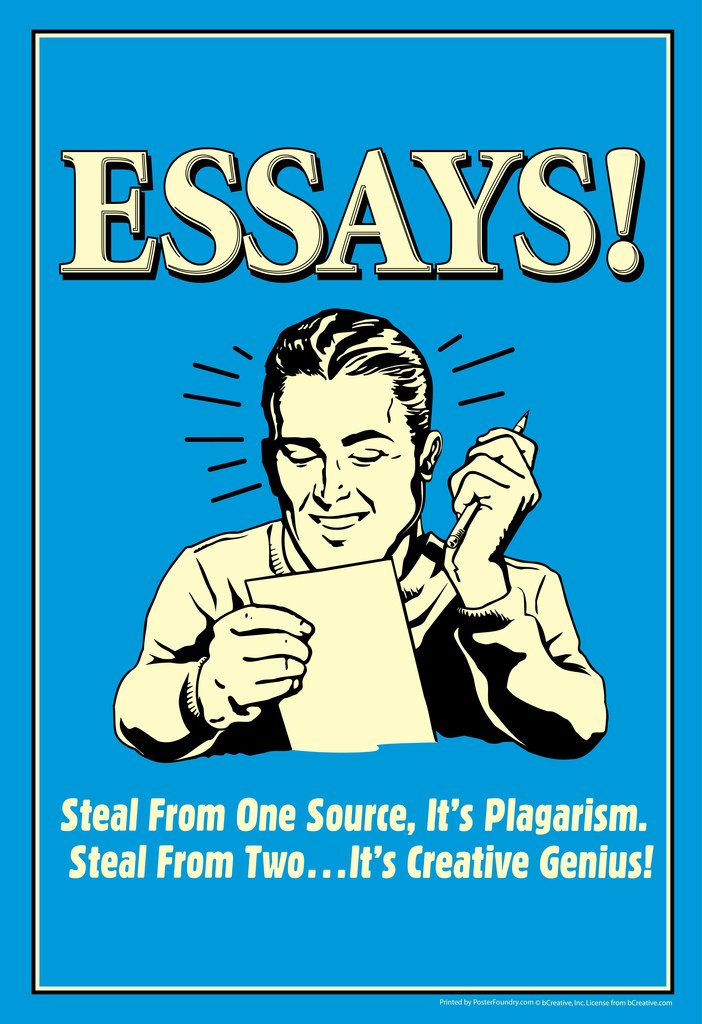 Essays! Steal From One Source Its Plagiarism From Two Creative Genius Retro Humor Cool Wall Decor Art Print Poster 12x18