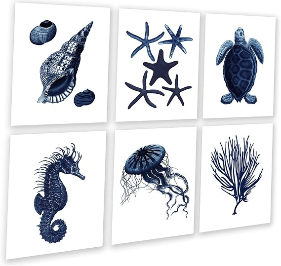 Gnosis Picture Archive Dark Navy Blue Beach Wall Decor Set of 6 Unframed Art Prints Shells Sea Turtle Seahorse Jellyfish
