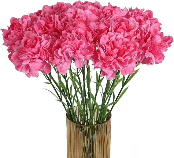 Pink Carnations Artificial Flowers 15PCS Carnations Flowers Silk Flowers 21.25in Fake Flowers for Wedding Home Table Centerpieces Floral Arrangements(Hot Pink)