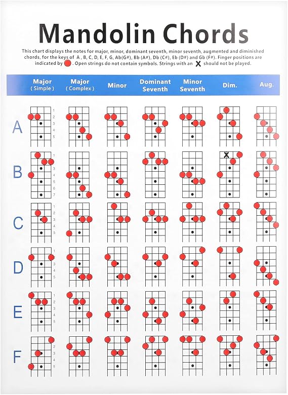 Mandolin Chord Practice Chart, Fretboard Notes Coated Paper for Beginner Guiding