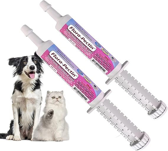 Oral Paste for Dogs & Cats (2 Pack, 30 CC - Tasty Chicken)