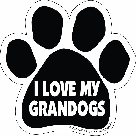 Imagine This Paw Car Magnet, I Love My Grandogs, 5-1/2-Inch by 5-1/2-Inch