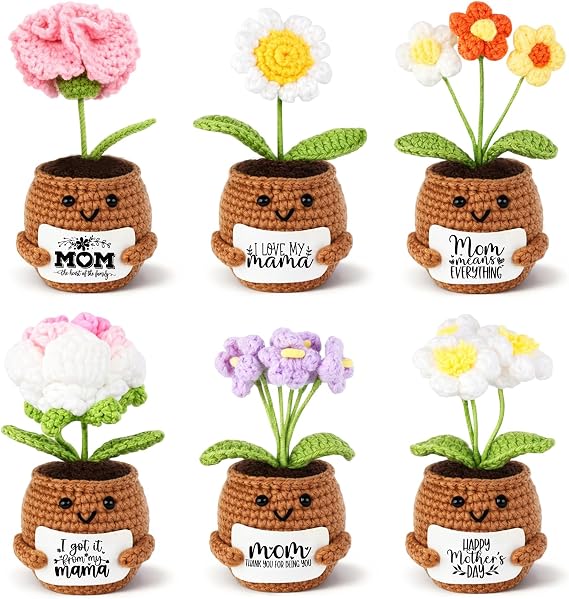Geelin 6 Sets Appreciate Positive Gift for Mom Women Mini Crochet Flower Potted Doll with Card Emotional Rose Carnation Crochet Support Positive Thank You Plants Gift for Grandparent