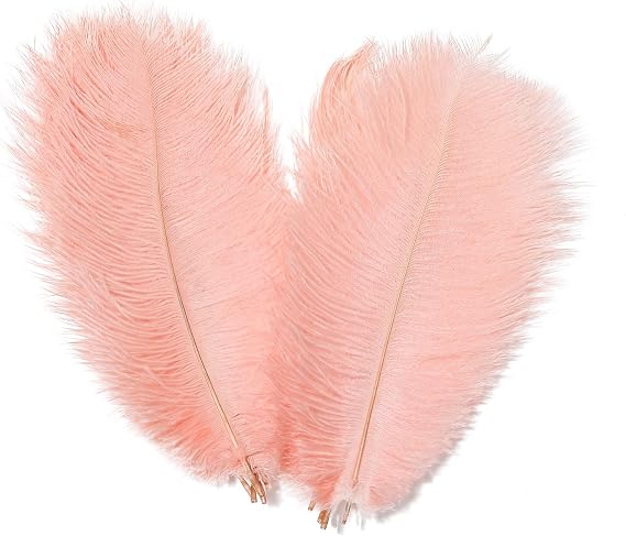AWAYTR 14-16 inch (35-40cm) Natural Ostrich Feathers for Wedding Centerpieces Home Decoration,Flower Arrangement,DIY Christmas Decorations (10pcs,Pink)