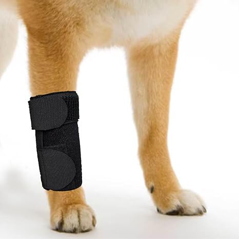 GenetGo Dog Canine Front Leg Brace Paw Compression Sleeve Joint Wraps - Protects Wounds Stop Licking & Prevents Injuries, Sprains Helps with Loss of Stability from Arthritis - Small