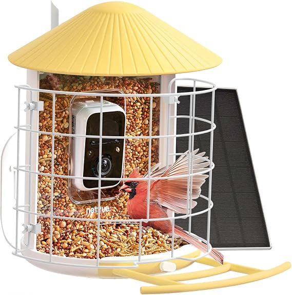 NETVUE by Birdfy Smart Bird Feeder with Camera & Shield