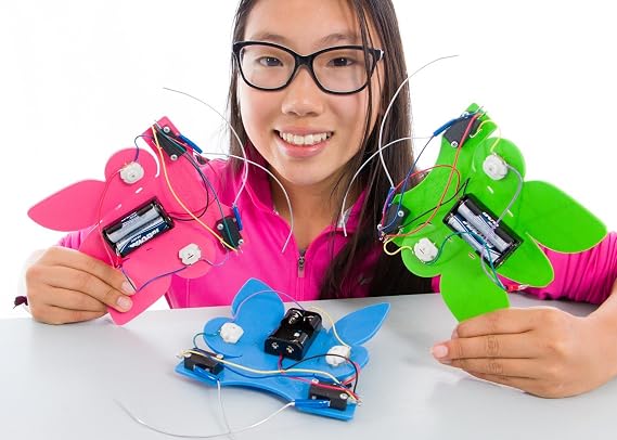 TeacherGeek Catch the Bug Ultimate STEM | STEAM Electronics Activity Kit