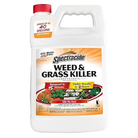 Spectracide Weed & Grass Killer Concentrate for Driveways & Walkways, 1 Gal
