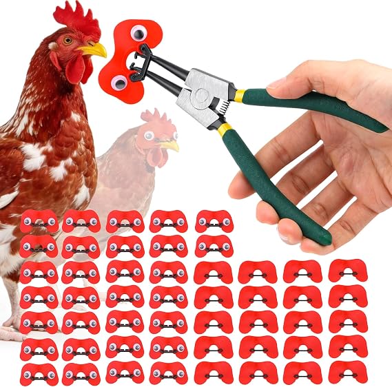 50 Pcs Pinless Peepers with Stickers, Pliers for Chickens