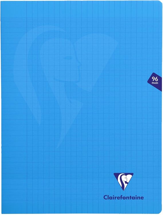 Clairefontaine cf323361 French Ruled Mimedis Staple Notebook, 96 Pages, 9.4 x 12.6 inches 24 x 32 cm, Blue, 3.2 oz/yd², Includes PP Soft Cover, PEFC Certified, Clairefontaine