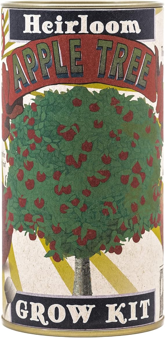 Apple Tree | Seed Grow Kit | The Jonsteen Company