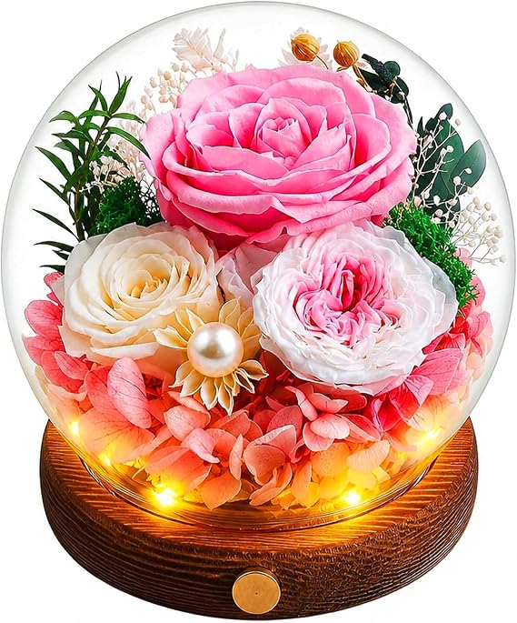 Elover Preserved Roses in Glass Dome with LED Light – Long Lasting Real Flowers,Forever Eternal Rose for Mother's Day,Valentine's Day,Birthday Gifts for Women,Mum,Wife,Girlfriend (Pink)