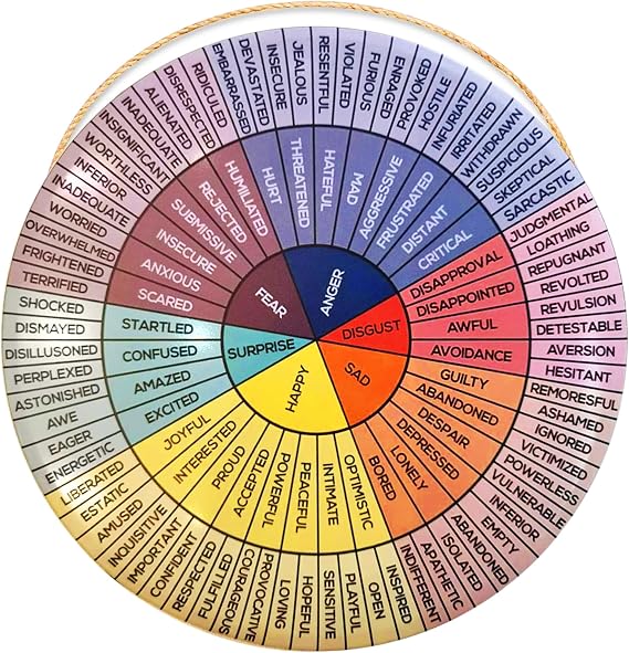 NADOBA Feelings Wheel Poster Metal Sign Durable Tin Emotion Wheel Chart with Pre-Drilled Holes for Easy Wall Mounting Waterproof, Fade-Resistant Decor for Home, Classroom, Office, Garden & Gift Use
