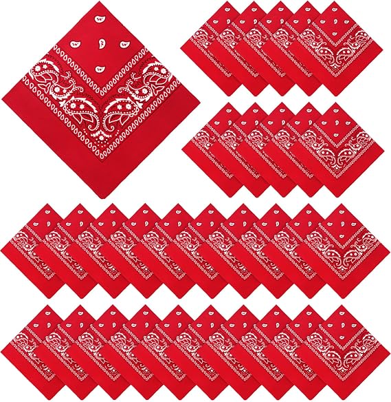 YSense 30 Pcs Paisley Bandana, Bulk Bandanas for Women Men | Multi-Purpose Unisex Cowboy Headbands, Square Scarf Head Wrap Neckerchief